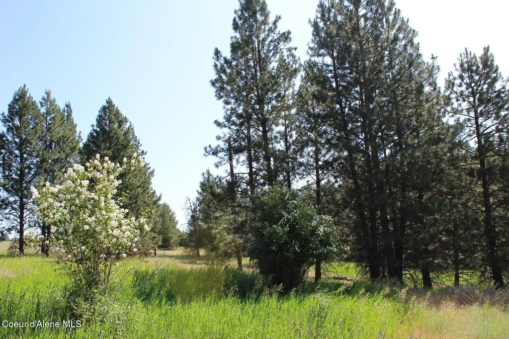 10A Honor Road Harrison ID 83833