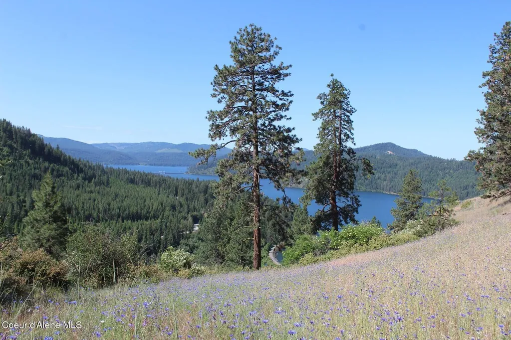 10A Honor Road Harrison ID 83833