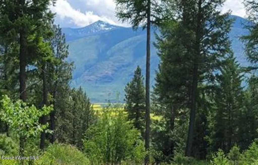 Nna Continental Lane-parcel 4 Bonners Ferry ID 83805