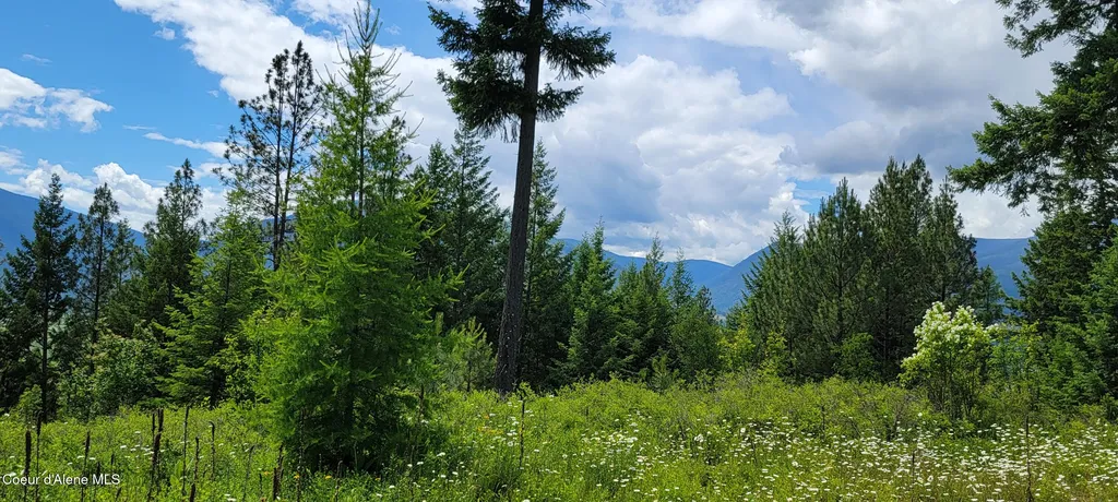 Nna Continental Lane-parcel 4 Bonners Ferry ID 83805