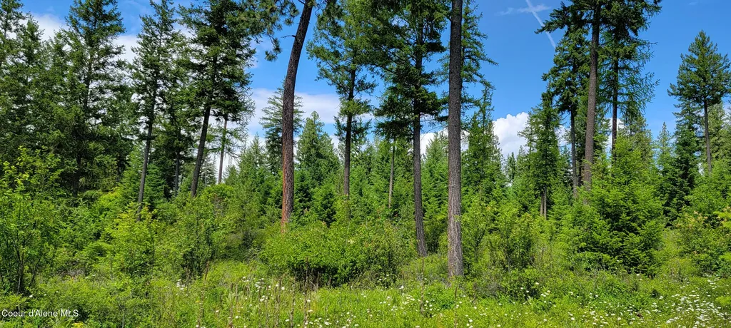 Nna Continental Lane-parcel 4 Bonners Ferry ID 83805