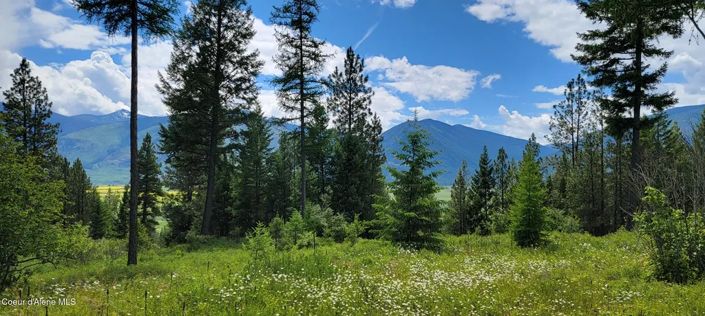 Nna Continental Lane-parcel 4 Bonners Ferry ID 83805