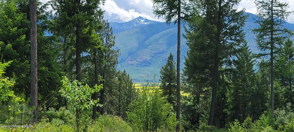 Nna Continental Lane-parcel 4 Bonners Ferry ID 83805