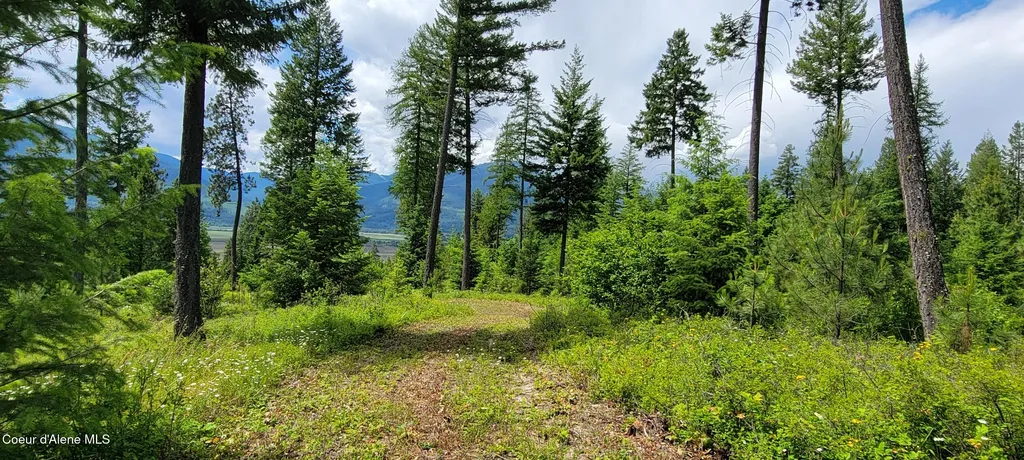 Nna Continental Lane-parcel 4 Bonners Ferry ID 83805