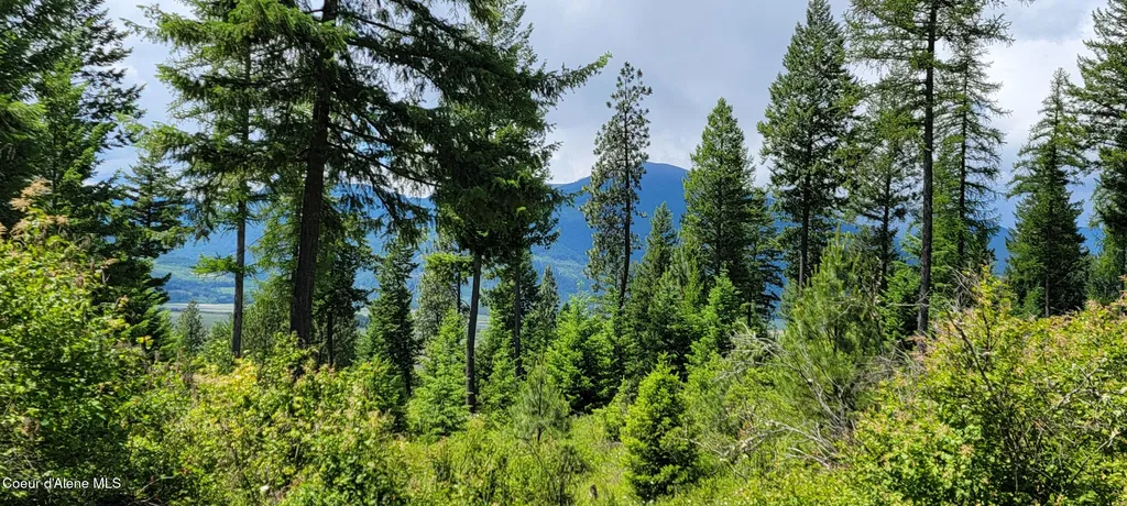 Nna Continental Lane-parcel 4 Bonners Ferry ID 83805