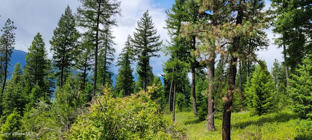 Nna Continental Lane-parcel 4 Bonners Ferry ID 83805