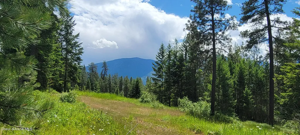 Nna Continental Lane-parcel 4 Bonners Ferry ID 83805
