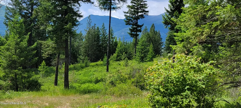 Nna Continental Lane-parcel 4 Bonners Ferry ID 83805