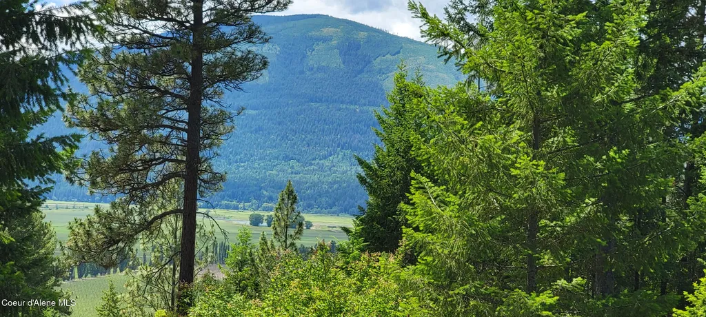 Nna Continental Lane-parcel 4 Bonners Ferry ID 83805