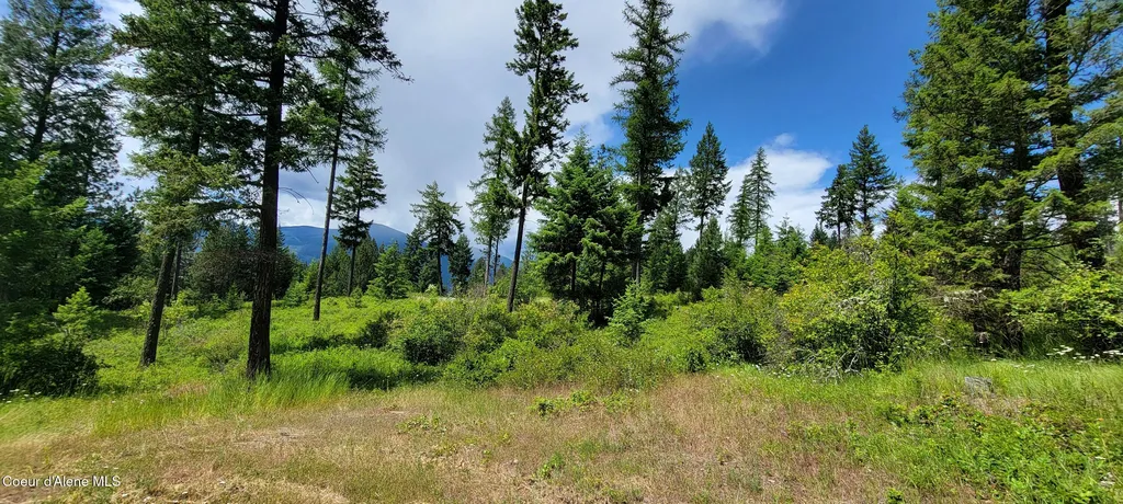 Nna Continental Lane-parcel 4 Bonners Ferry ID 83805