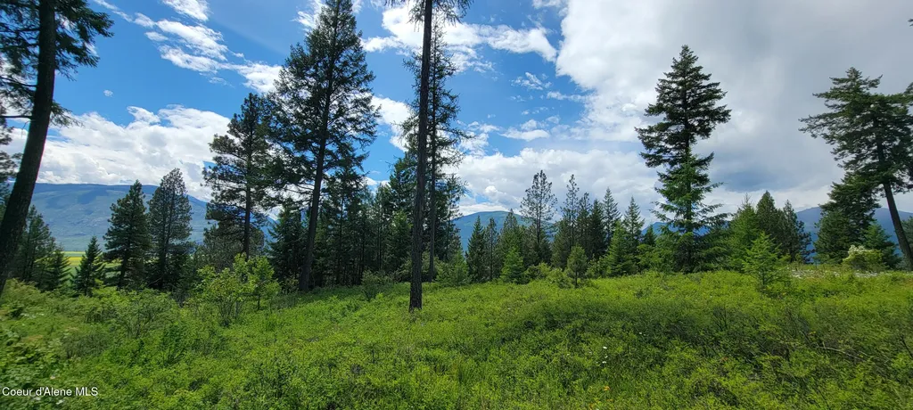 Nna Continental Lane-parcel 4 Bonners Ferry ID 83805