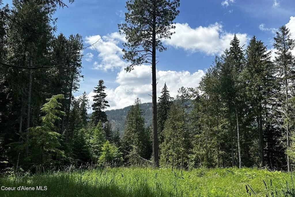Nka Jenny Lane Sandpoint ID 83864
