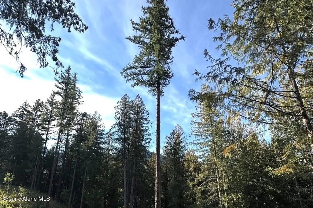 Nka Jenny Lane Sandpoint ID 83864