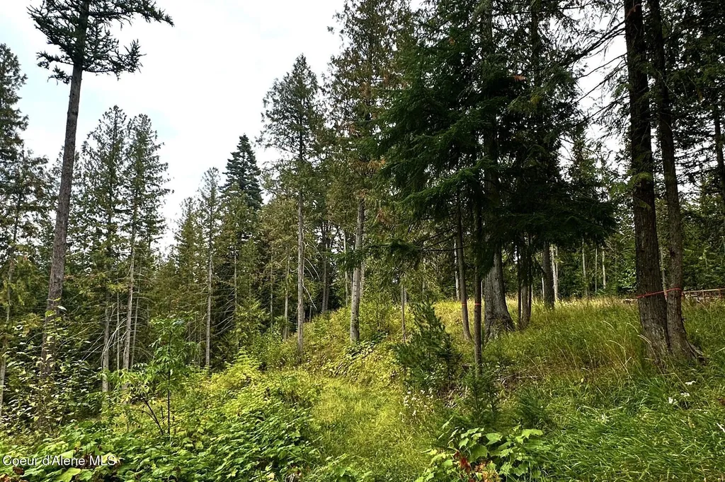 Nka Jenny Lane Sandpoint ID 83864