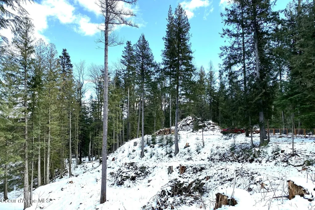 Nka Jenny Lane Sandpoint ID 83864