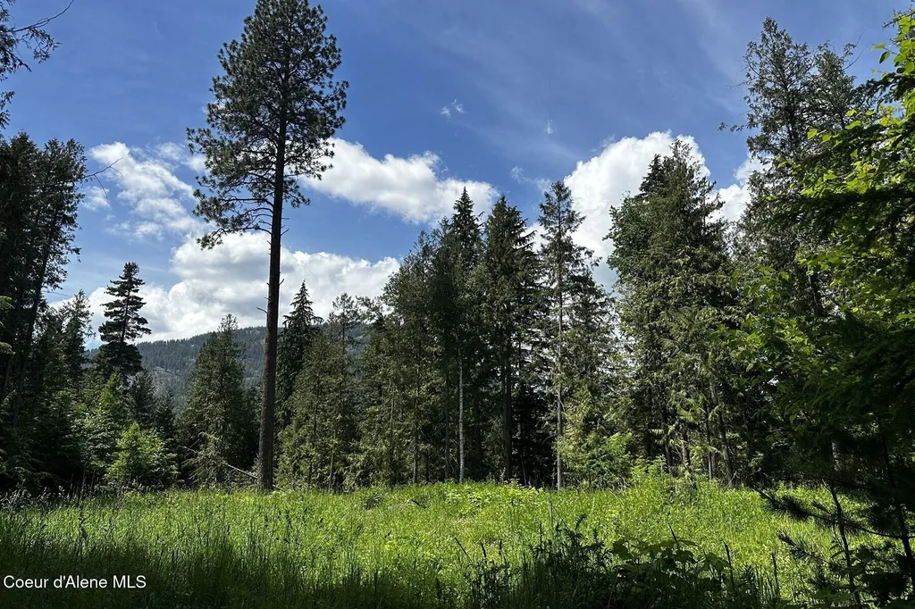 Nka Jenny Lane Sandpoint ID 83864
