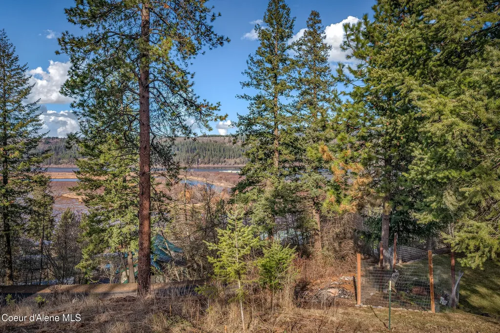 251 E Park Avenue Harrison ID 83833