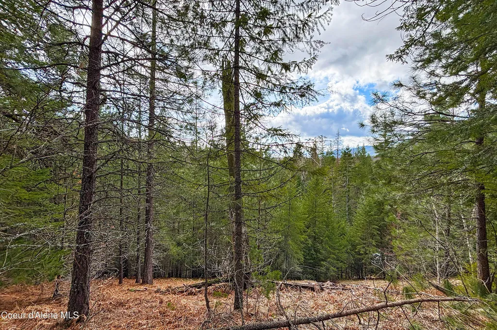 Nna Elk Street Sandpoint ID 83864