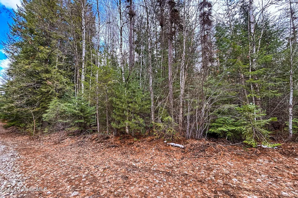 Nna Elk Street Sandpoint ID 83864