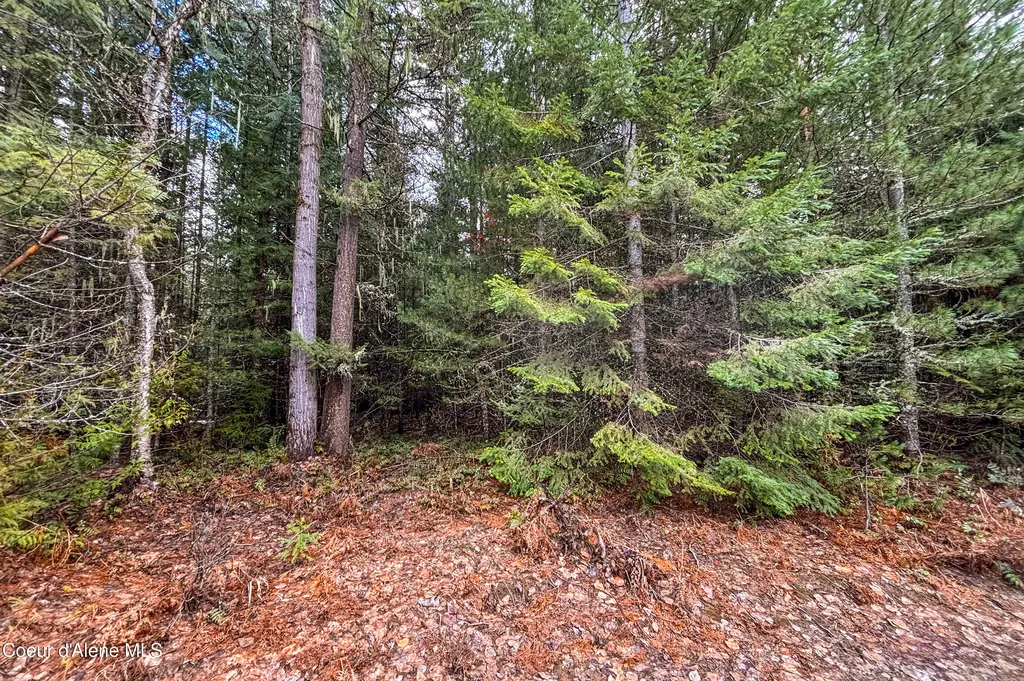 Nna Elk Street Sandpoint ID 83864