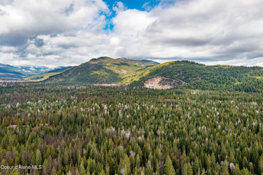 Nna Elk Street Sandpoint ID 83864