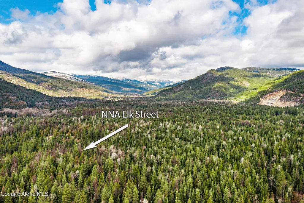 Nna Elk Street Sandpoint ID 83864