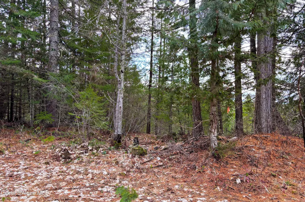 Nna Elk Street Sandpoint ID 83864