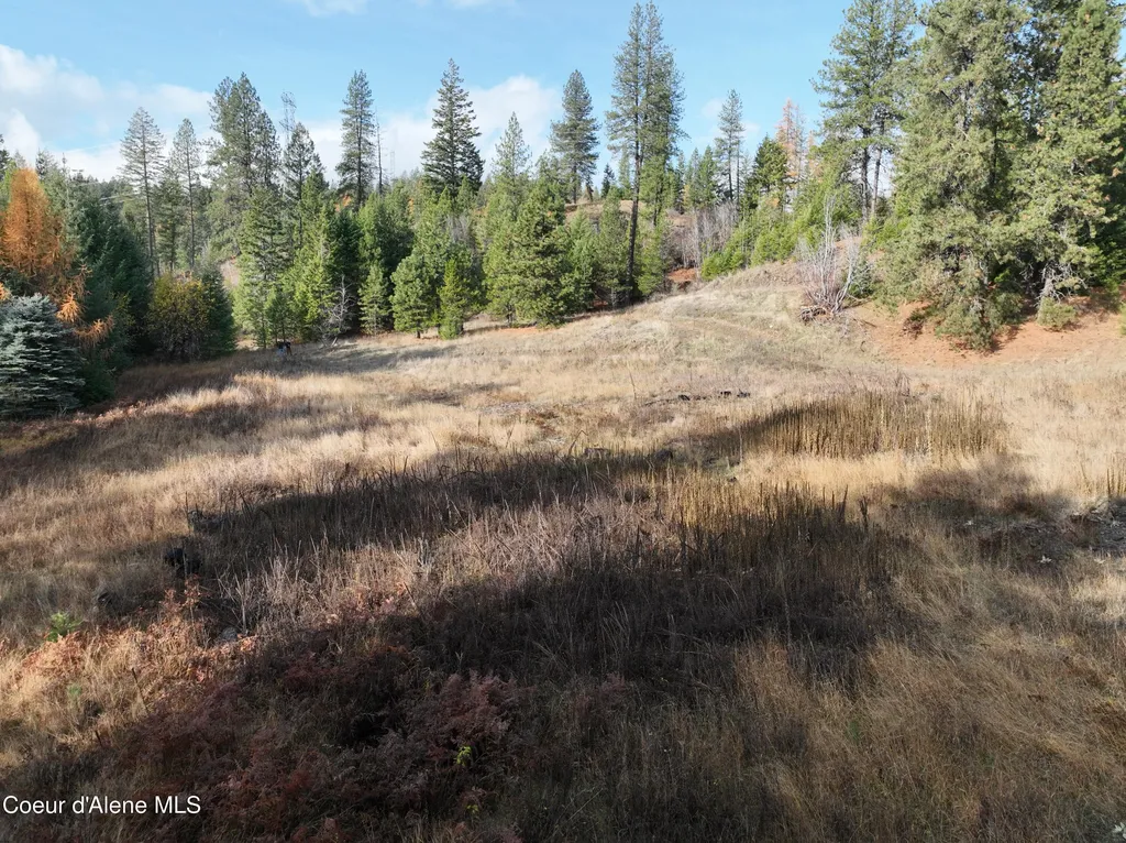 Nka Snowberry Lane Sandpoint ID 83864