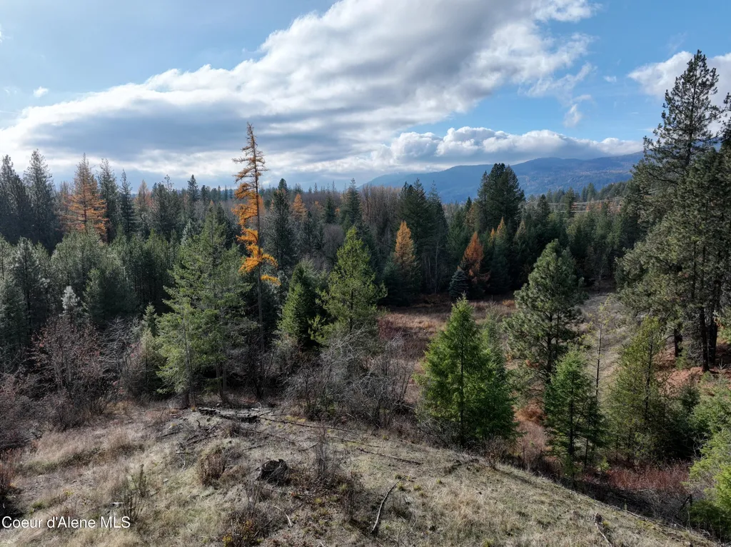 Nka Snowberry Lane Sandpoint ID 83864