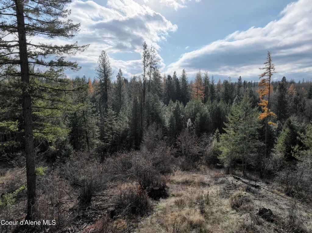 Nka Snowberry Lane Sandpoint ID 83864