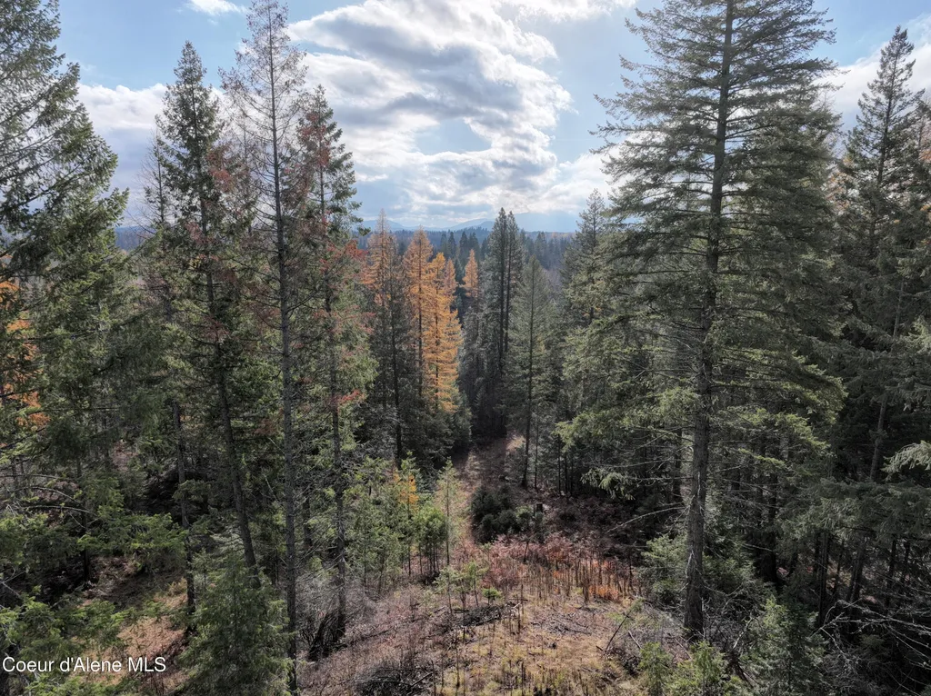 Nka Snowberry Lane Sandpoint ID 83864