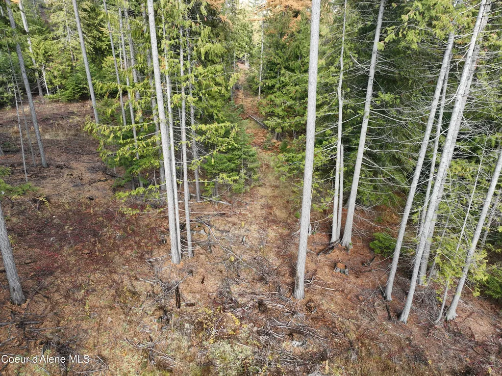 Nka Snowberry Lane Sandpoint ID 83864