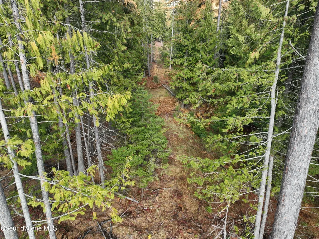 Nka Snowberry Lane Sandpoint ID 83864