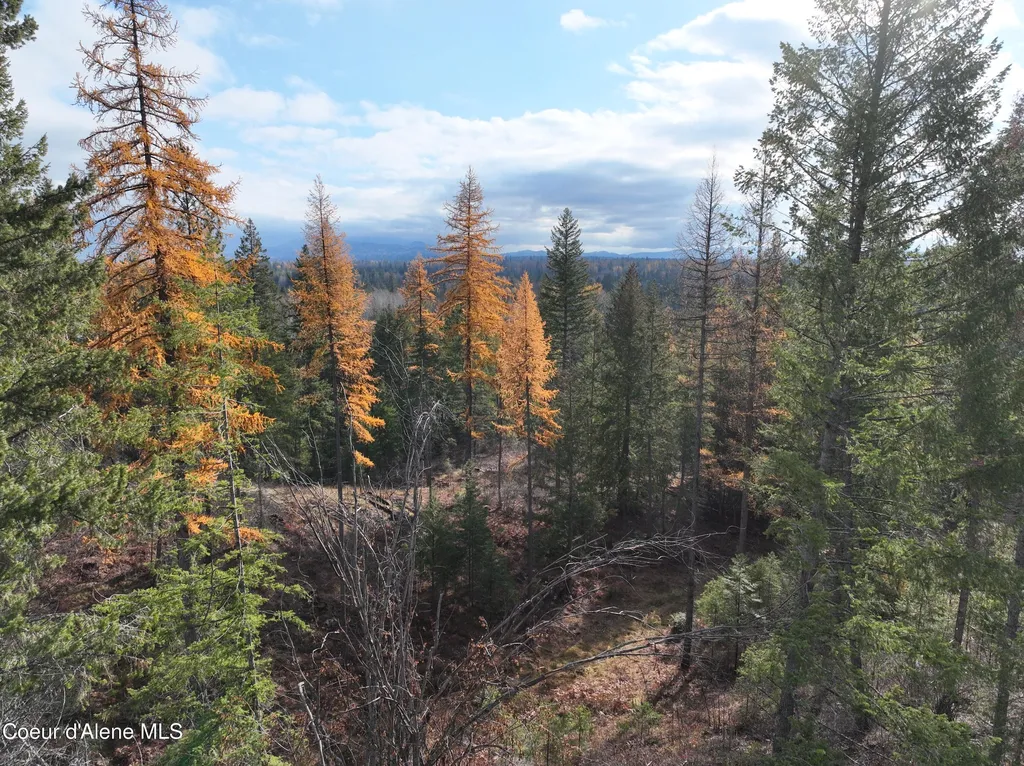 Nka Snowberry Lane Sandpoint ID 83864