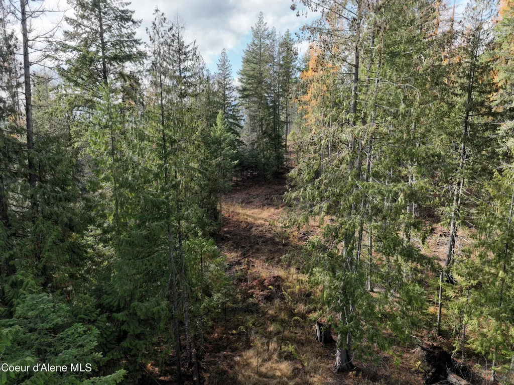 Nka Snowberry Lane Sandpoint ID 83864