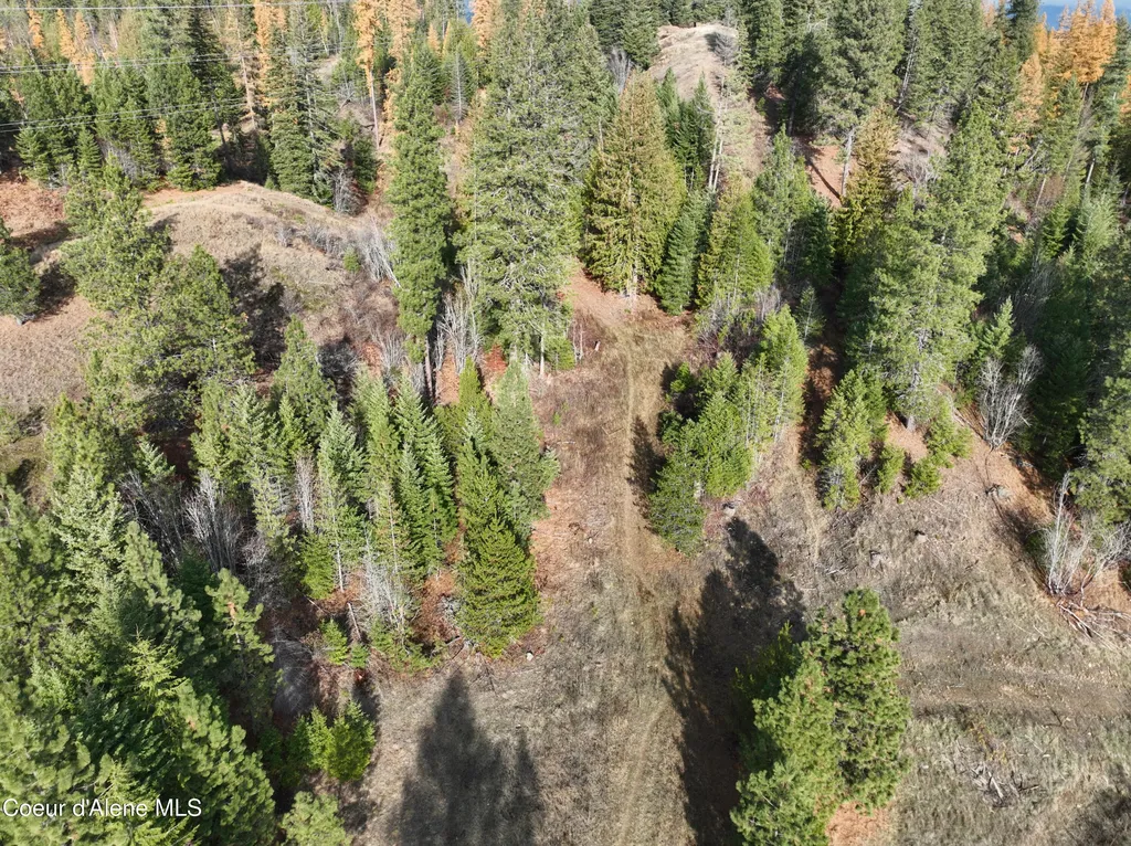 Nka Snowberry Lane Sandpoint ID 83864