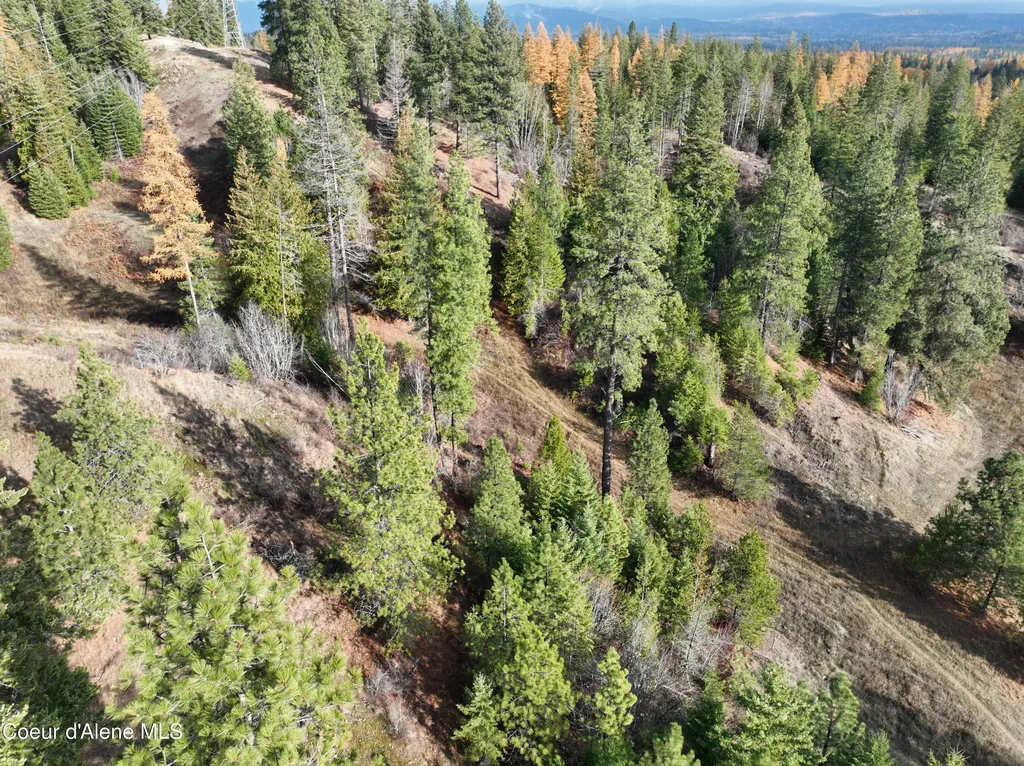 Nka Snowberry Lane Sandpoint ID 83864