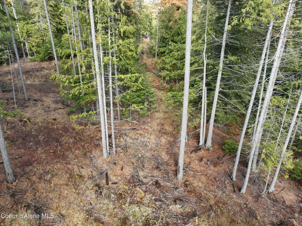 Nka Snowberry Lane Sandpoint ID 83864