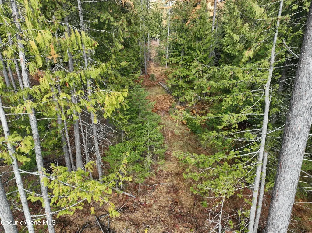 Nka Snowberry Lane Sandpoint ID 83864