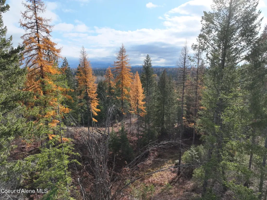Nka Snowberry Lane Sandpoint ID 83864