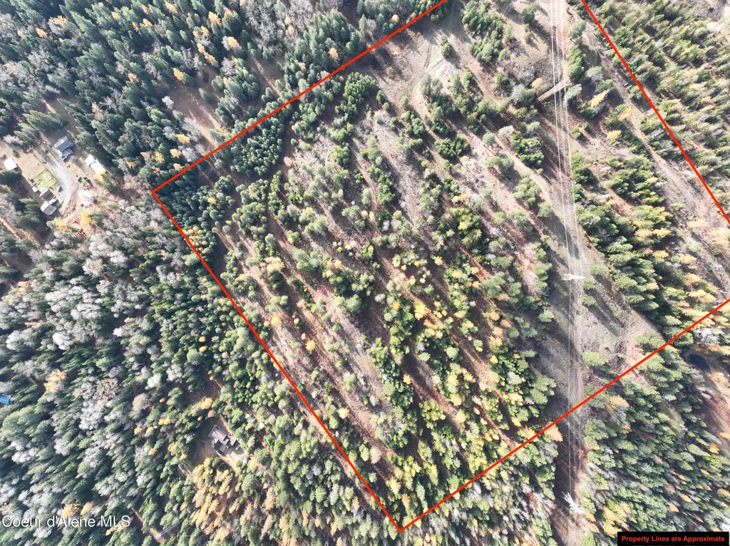 Nka Snowberry Lane Sandpoint ID 83864