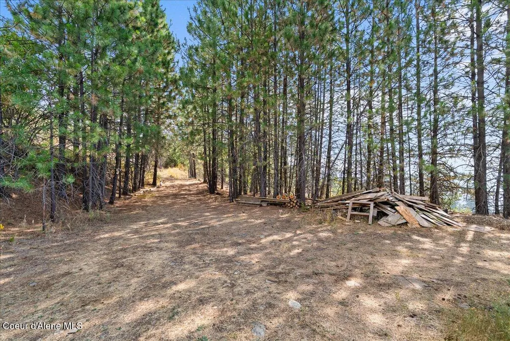 5674 E Holiday Road Harrison ID 83833