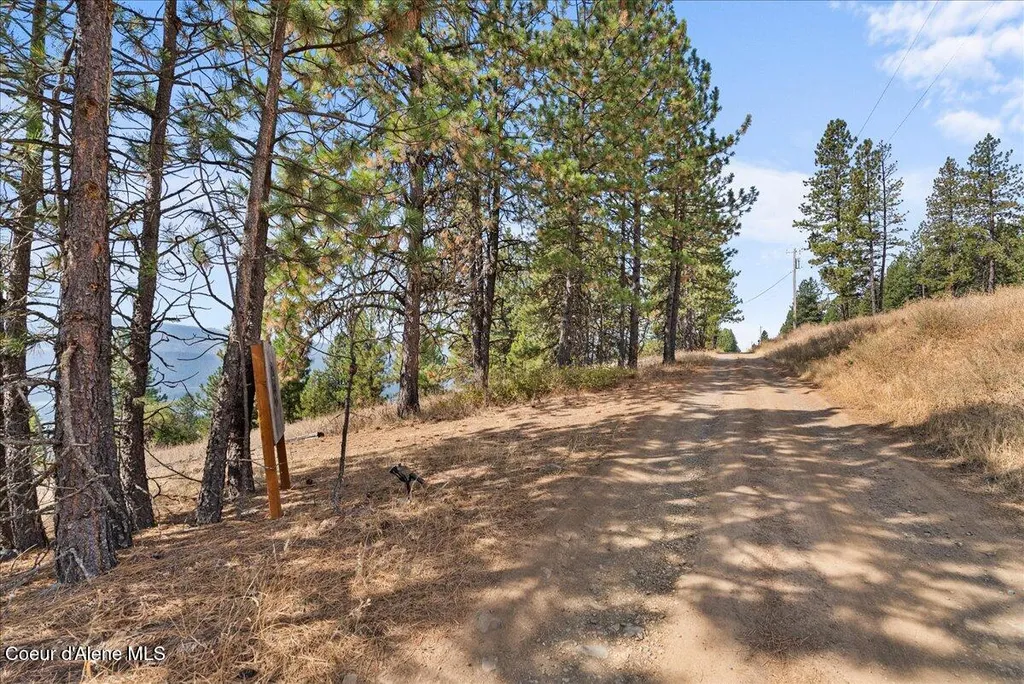 5674 E Holiday Road Harrison ID 83833