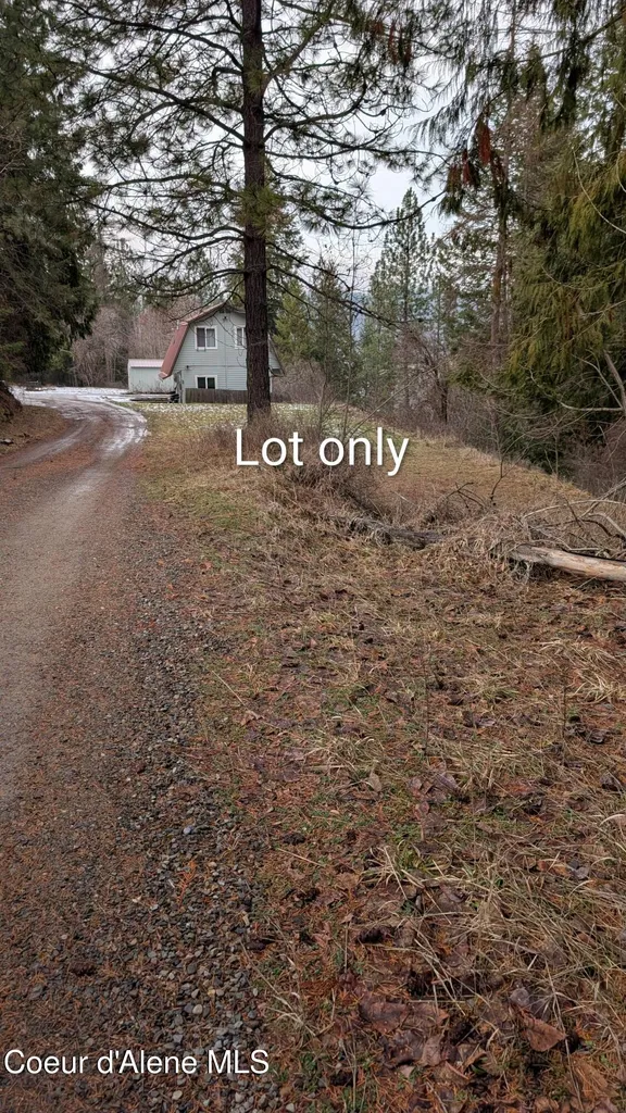 Alder Street Bonners Ferry ID 83805