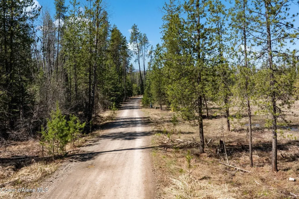 816 Ponderesa Ranch Road - 44 Acres Sagle ID 83860