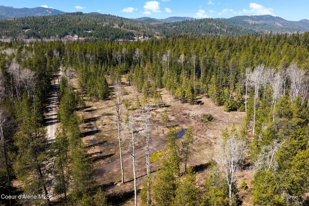 816 Ponderesa Ranch Road - 44 Acres Sagle ID 83860