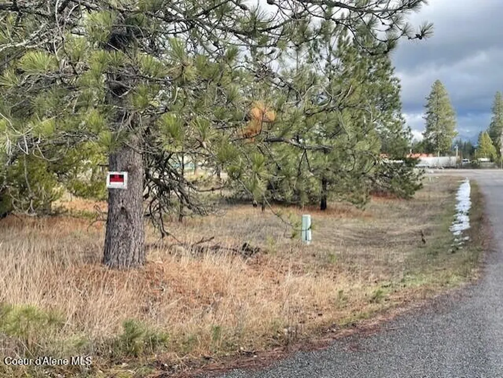 29269 N Old Highway 95 Athol ID 83801