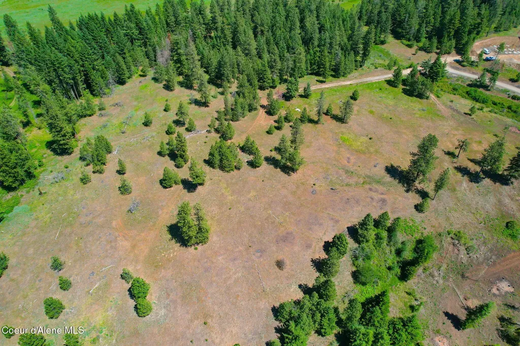 Lot 1 S Skyview Road Harrison ID 83833