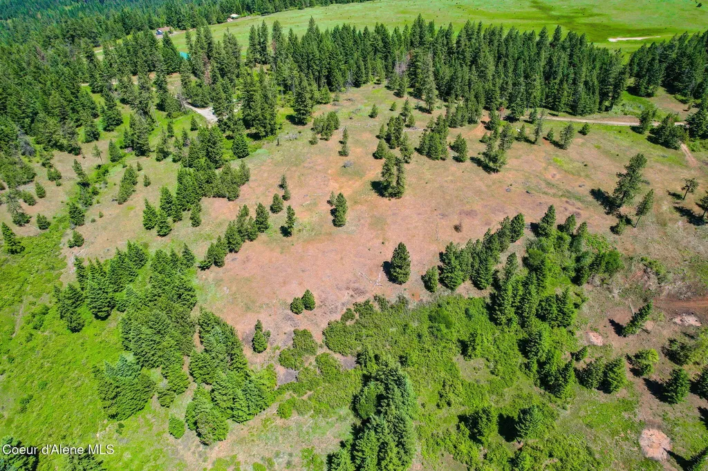 Lot 1 S Skyview Road Harrison ID 83833