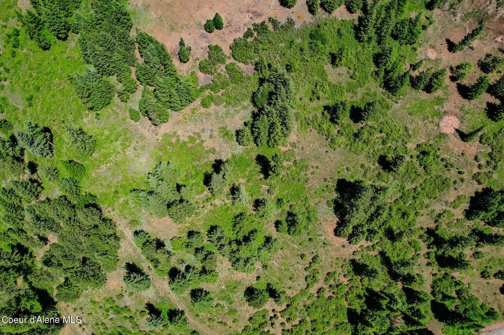 Lot 1 S Skyview Road Harrison ID 83833
